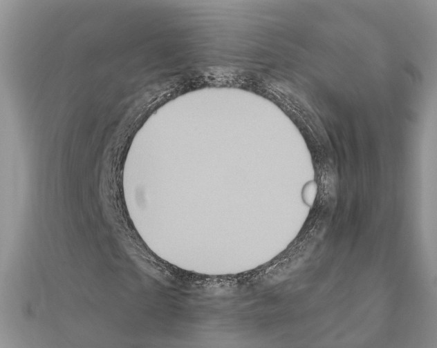 X0000111240865200908131142