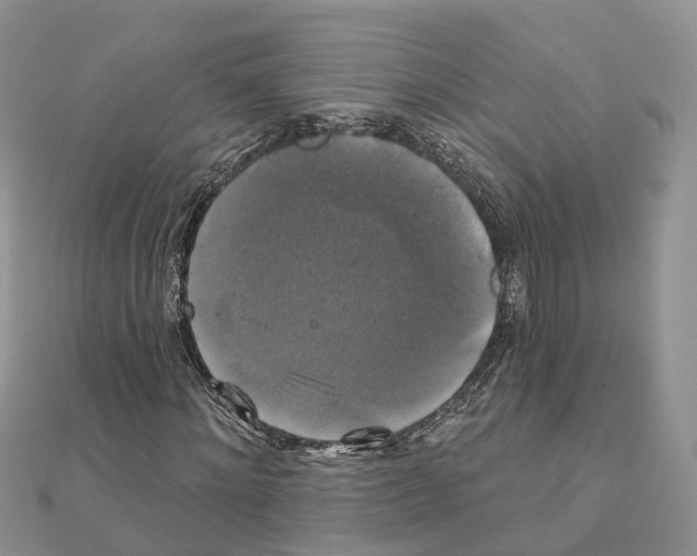 X0000111240868200908131142