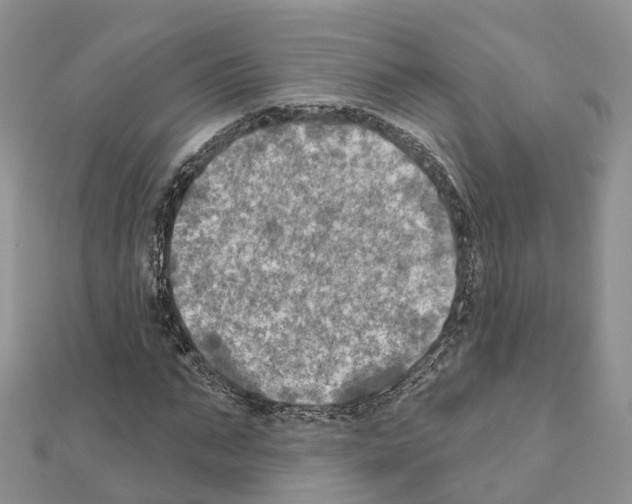 X0000111240871200908131142