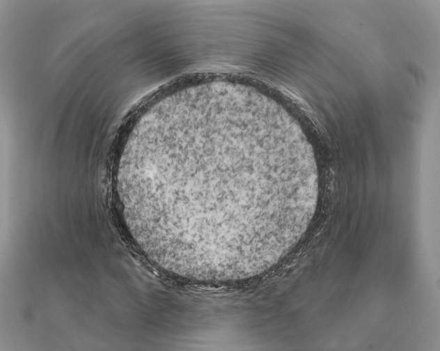 X0000111240872200908131142