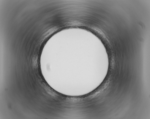X0000111240873200908131142