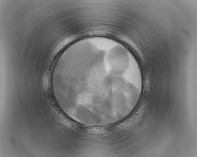 X0000111240874200908131142
