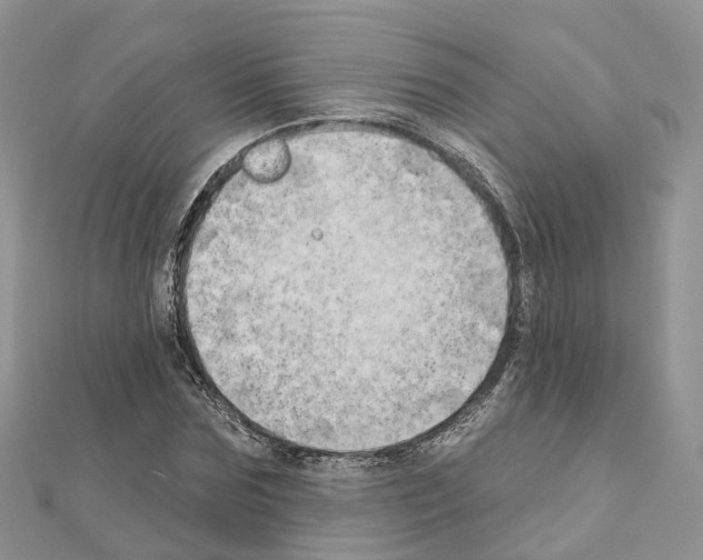 X0000111240875200908131142