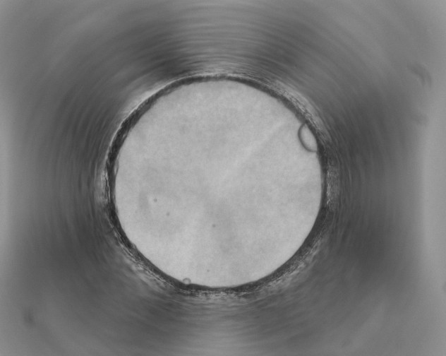 X0000111240876200908131142