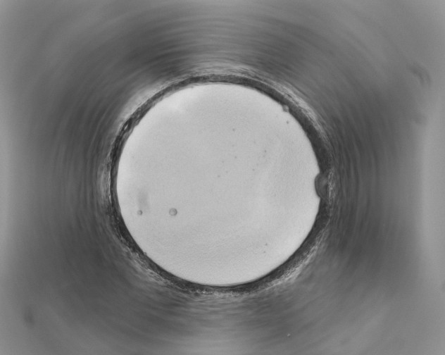 X0000111240877200908131142