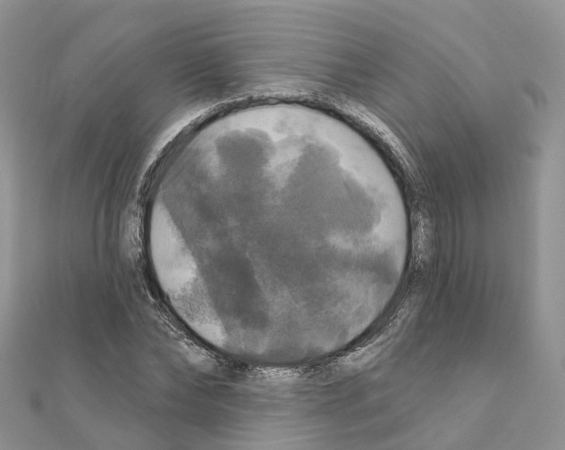 X0000111240878200908131142