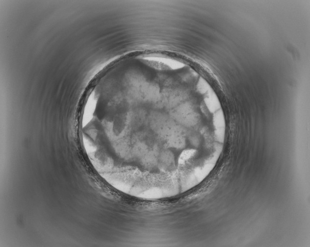 X0000111240879200908131142