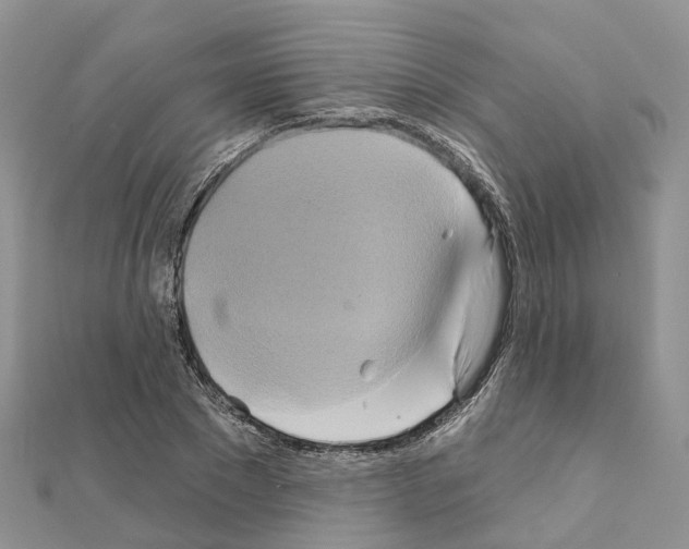 X0000111240881200908131142