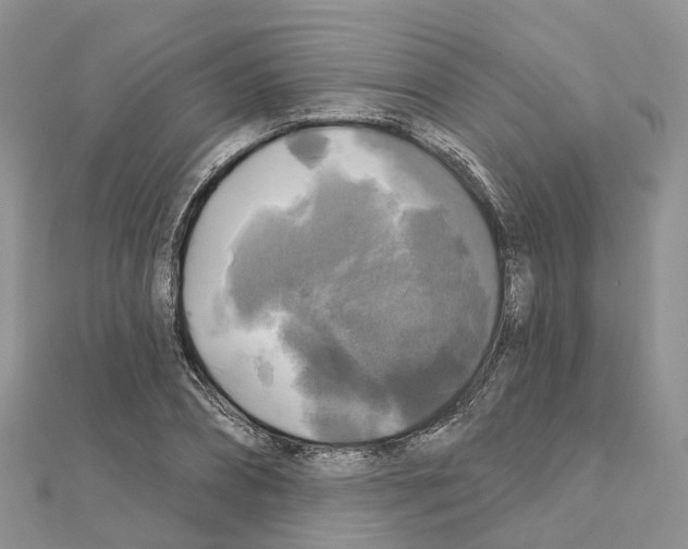 X0000111240882200908131142