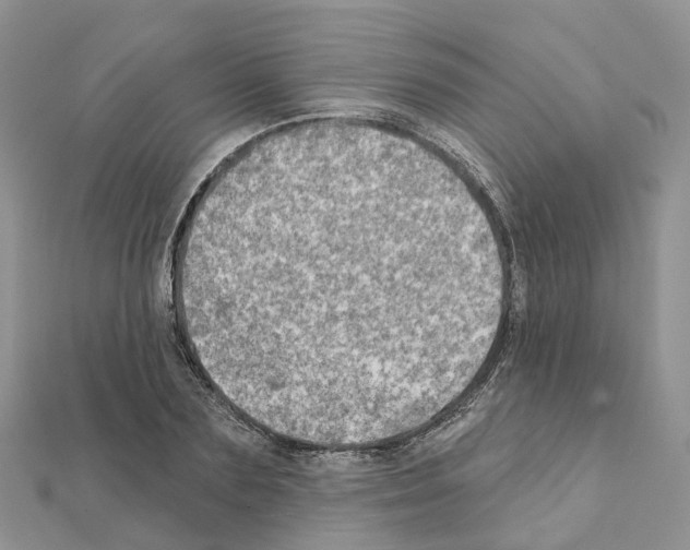 X0000111240883200908131142