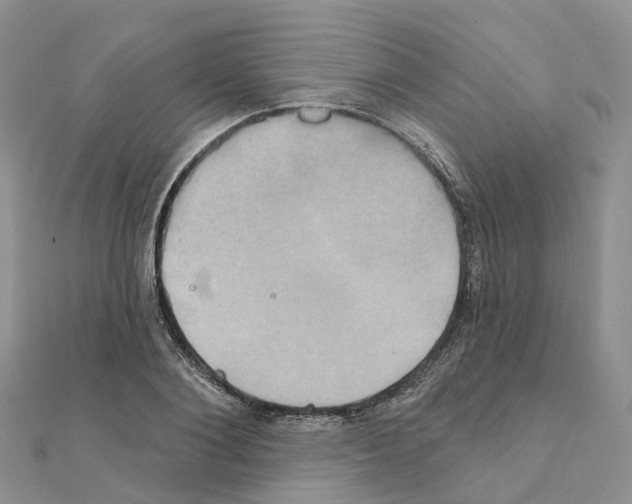 X0000111240884200908131142