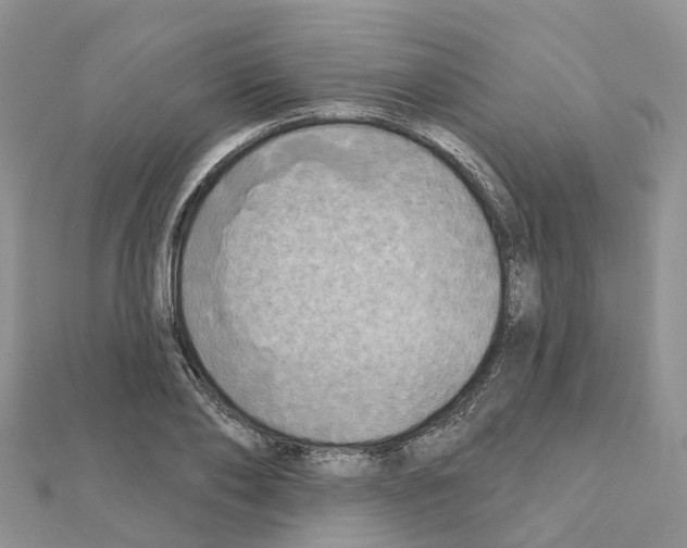 X0000111240886200908131142
