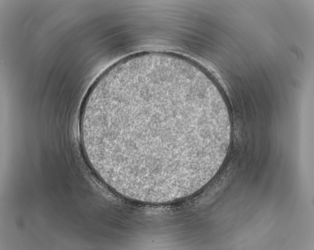 X0000111240887200908131142