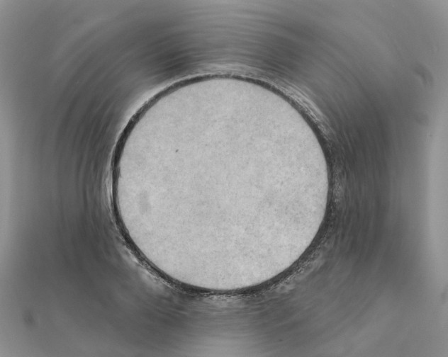 X0000111240888200908131142