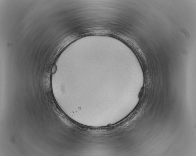 X0000111240889200908131142