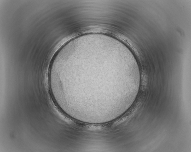 X0000111240890200908131142