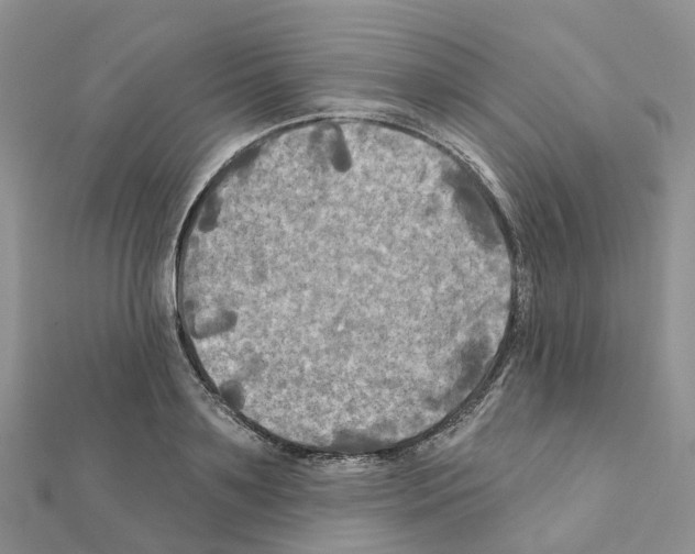 X0000111240891200908131142