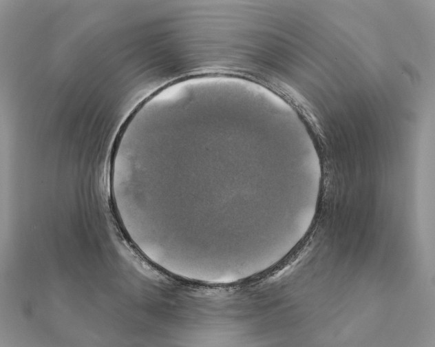 X0000111240892200908131142