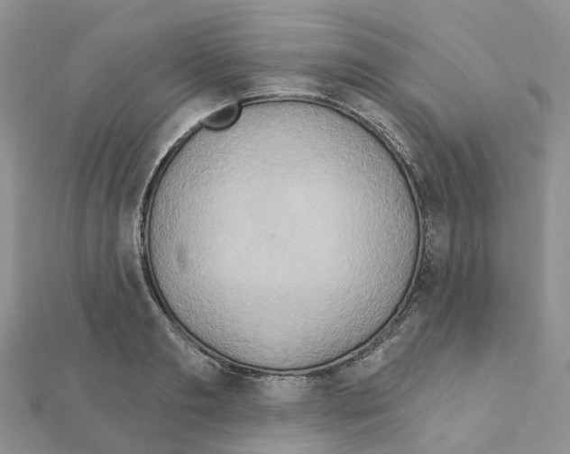 X0000111240893200908131142