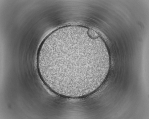 X0000111240894200908131142