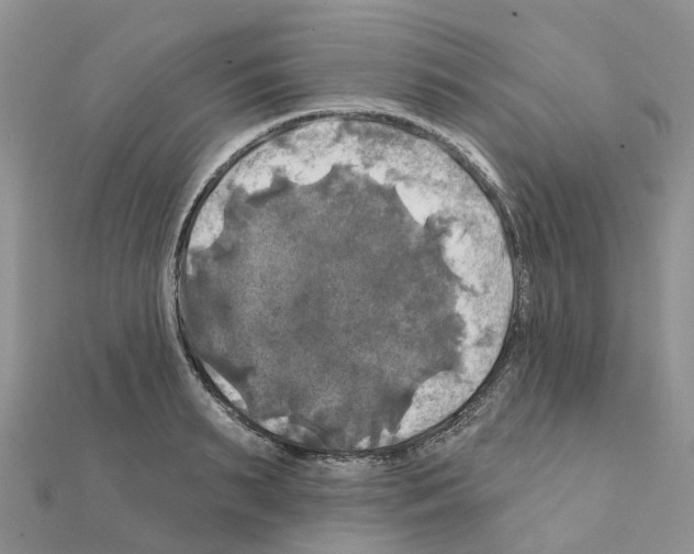 X0000111240895200908131142