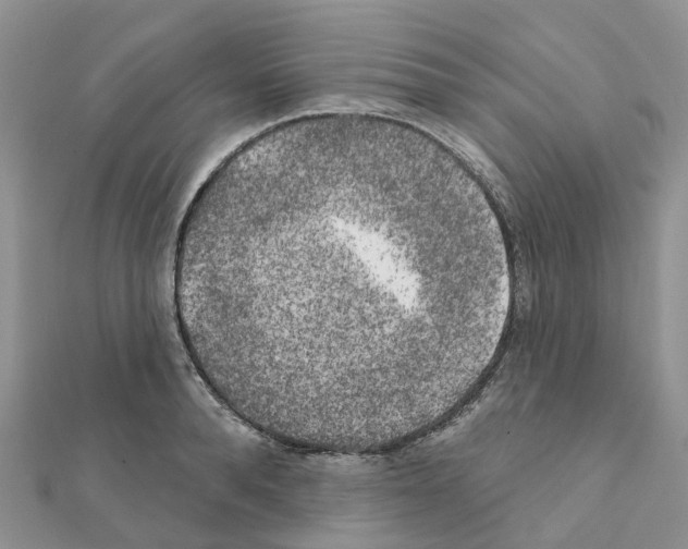 X0000111240896200908131142