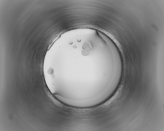 X0000111240897200908131142