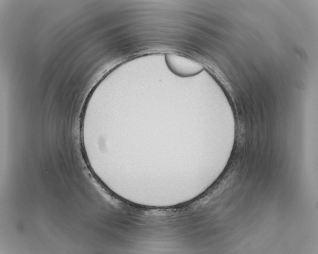 X0000111240898200908131142