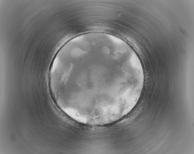 X0000111240899200908131142