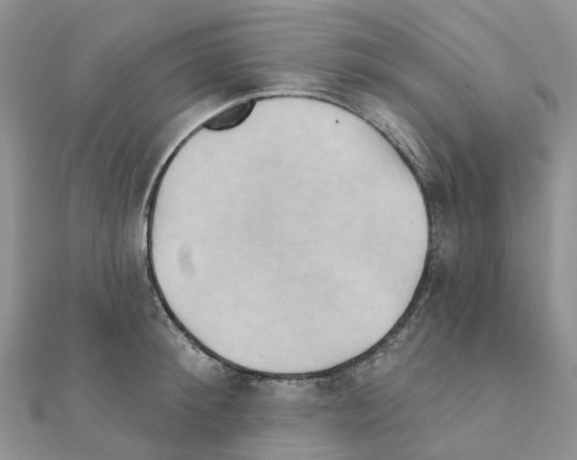 X0000111240900200908131142