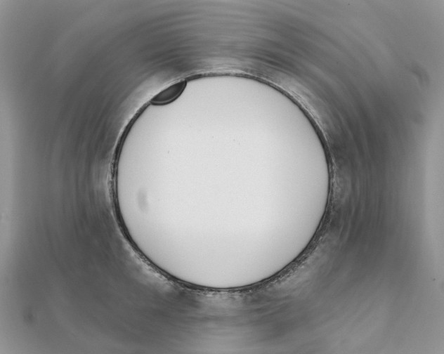 X0000111240901200908131142