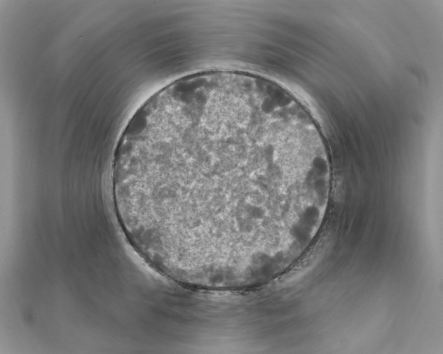 X0000111240903200908131142