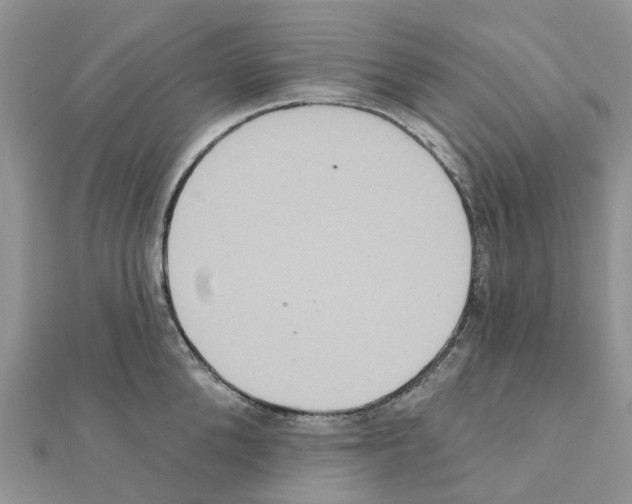 X0000111240904200908131142