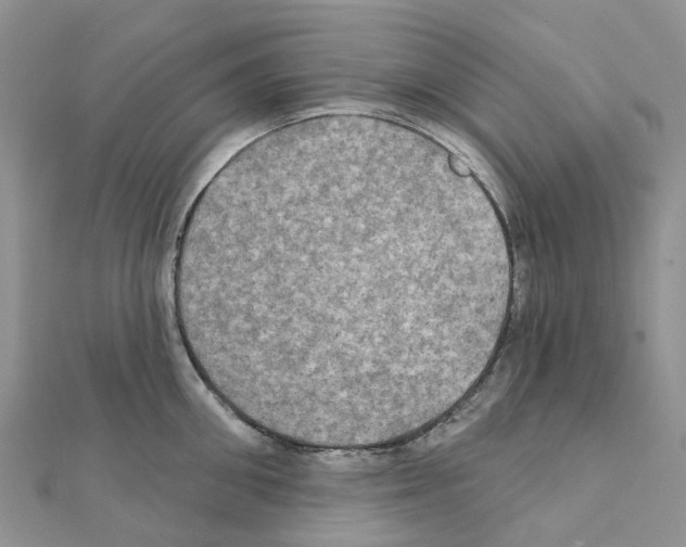 X0000111240906200908131142