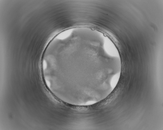 X0000111240907200908131142