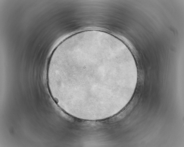 X0000111240910200908131142