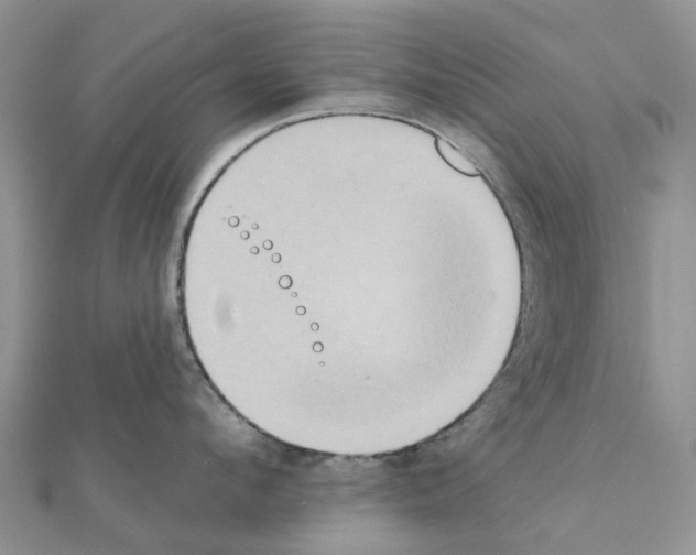 X0000111240912200908131142