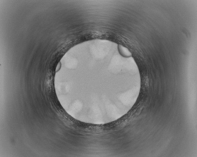 X0000111240914200908131141