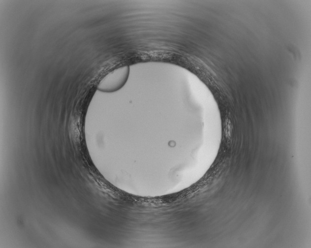 X0000111240915200908131141