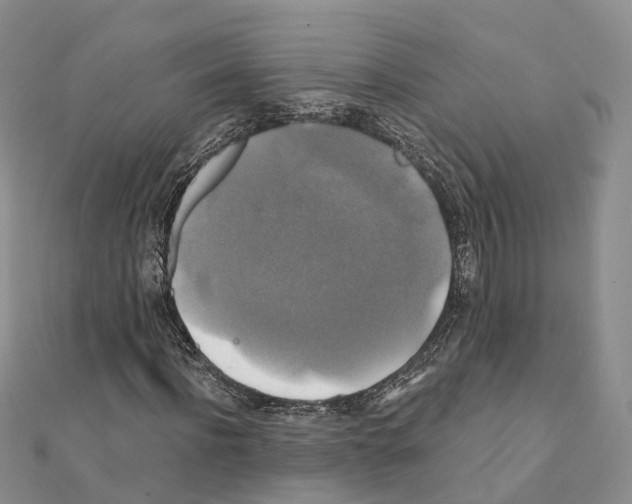 X0000111240916200908131141