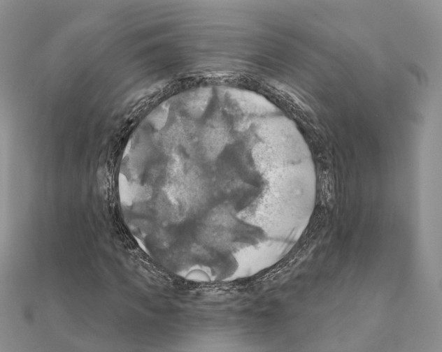 X0000111240917200908131141