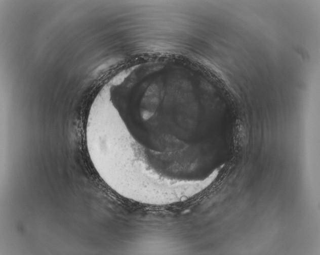 X0000111240918200908131141