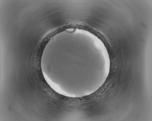 X0000111240919200908131141