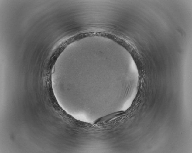 X0000111240920200908131141