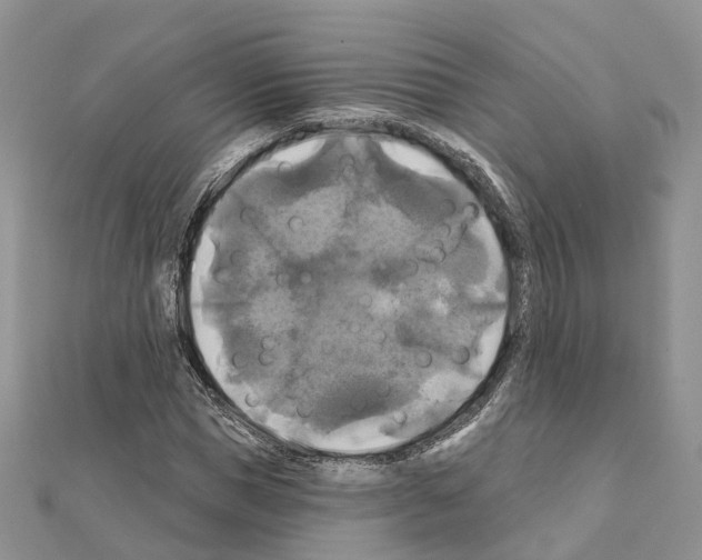 X0000111240921200908131141