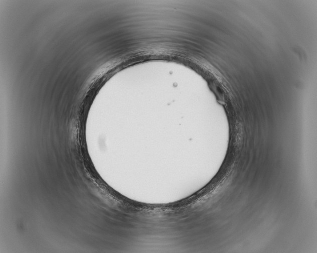 X0000111240922200908131141