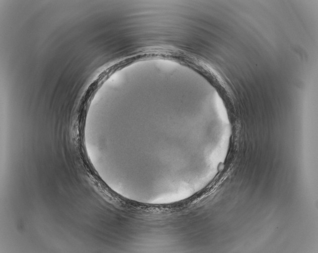 X0000111240923200908131141