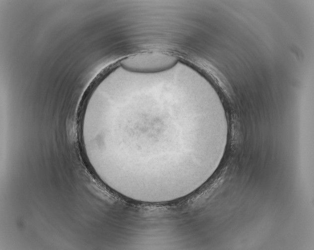 X0000111240924200908131141