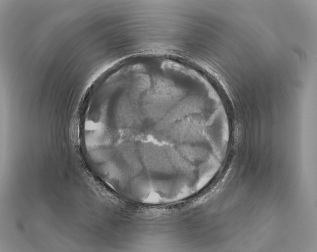X0000111240925200908131141