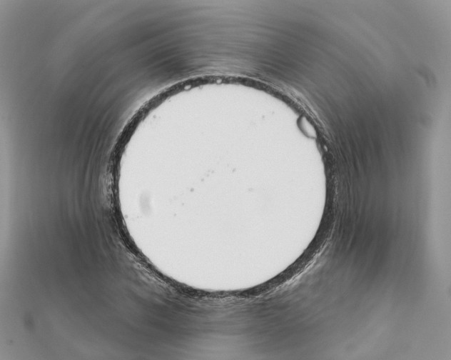 X0000111240926200908131141